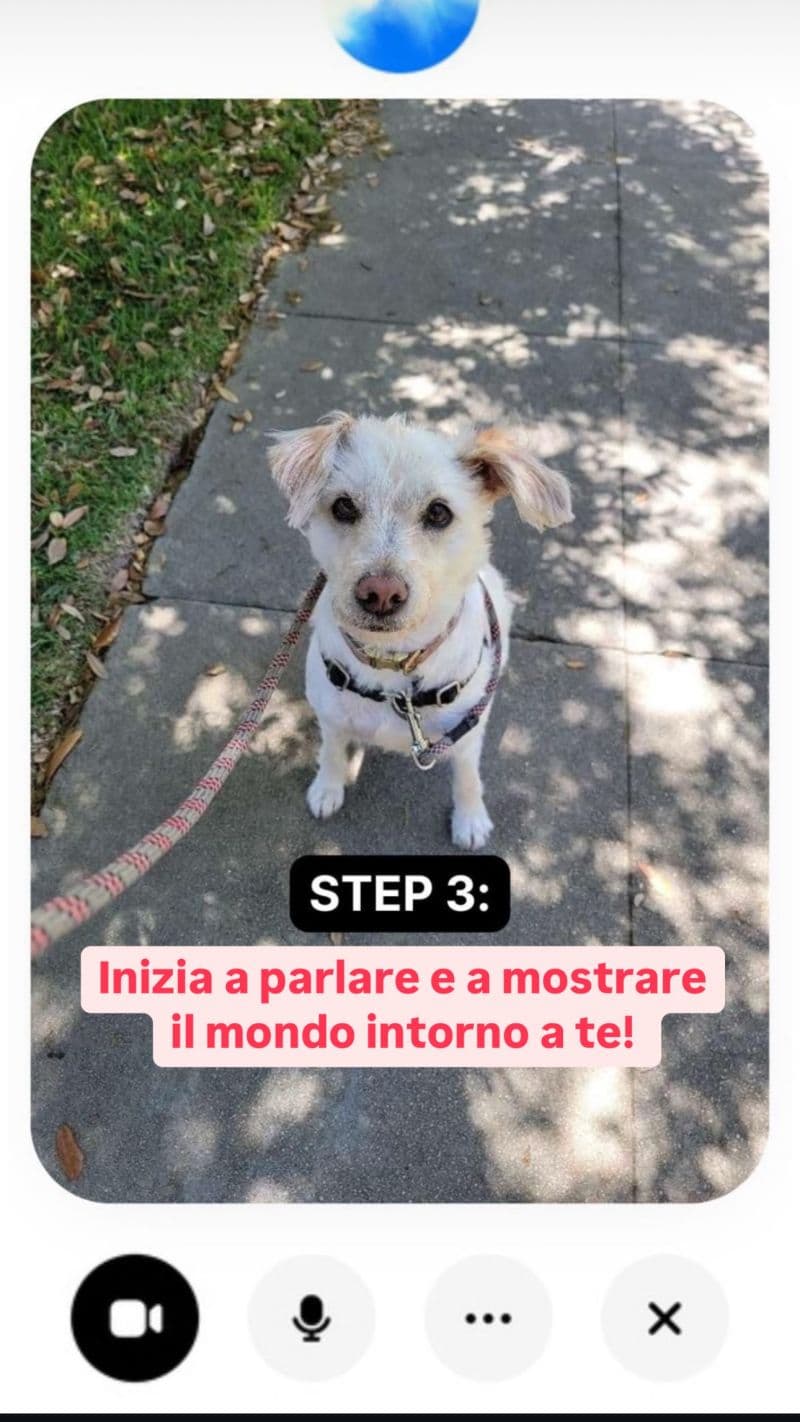 ChatGPT ora VEDE il mondo intorno a te